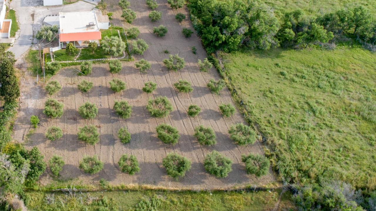 Elia Small Paradise Miasto Kos Zewnętrze zdjęcie