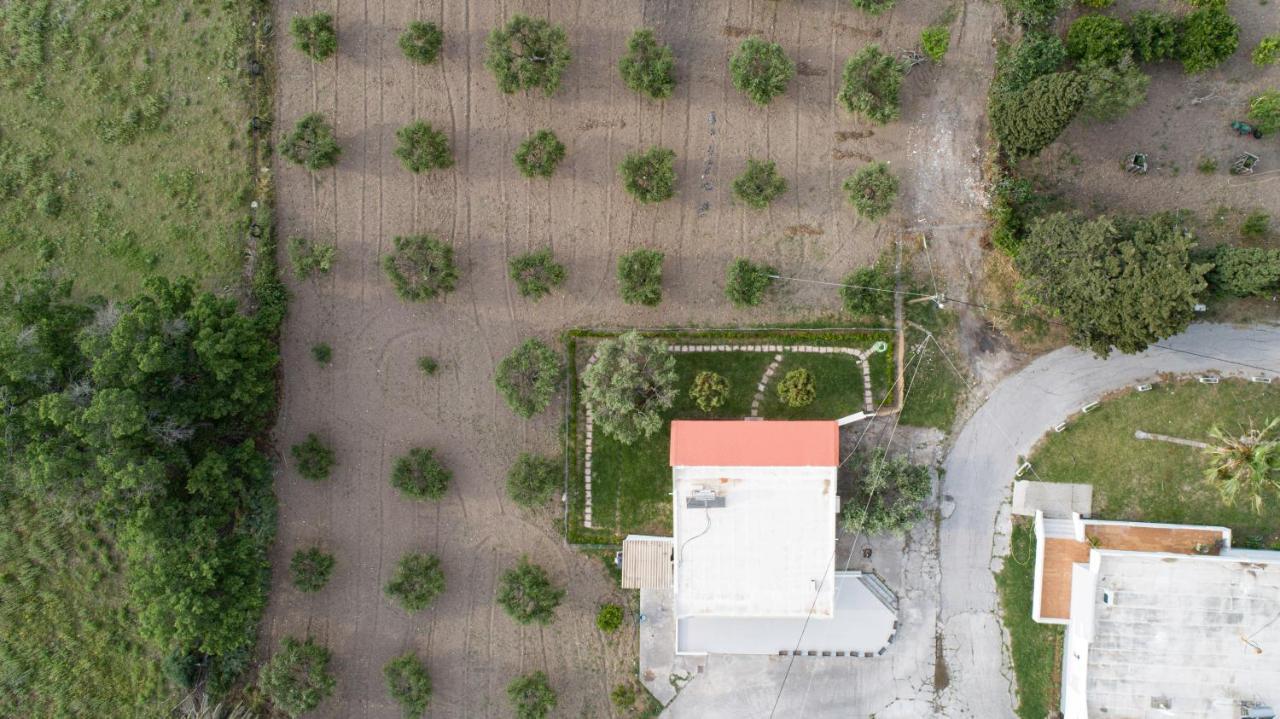 Elia Small Paradise Miasto Kos Zewnętrze zdjęcie