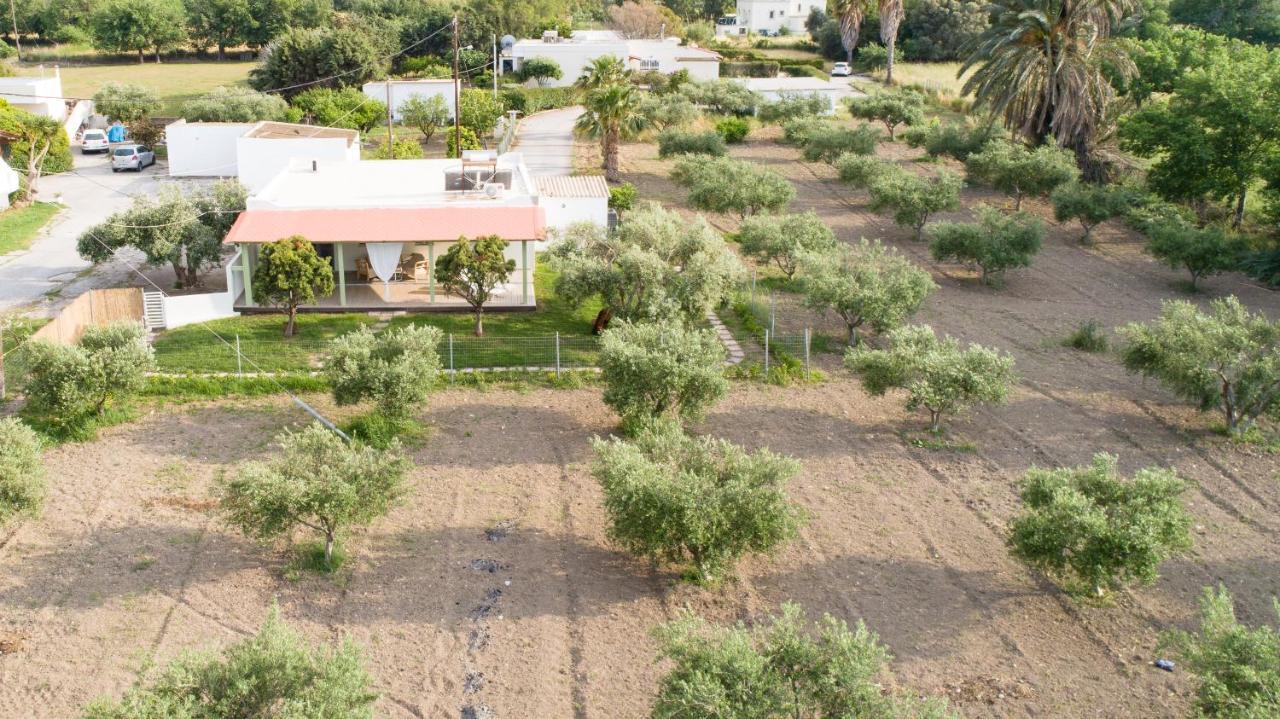 Elia Small Paradise Miasto Kos Zewnętrze zdjęcie